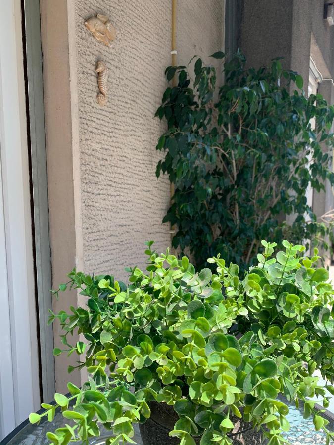 Renovated Cozy Apartment Near To Acropolis Атина Екстериор снимка